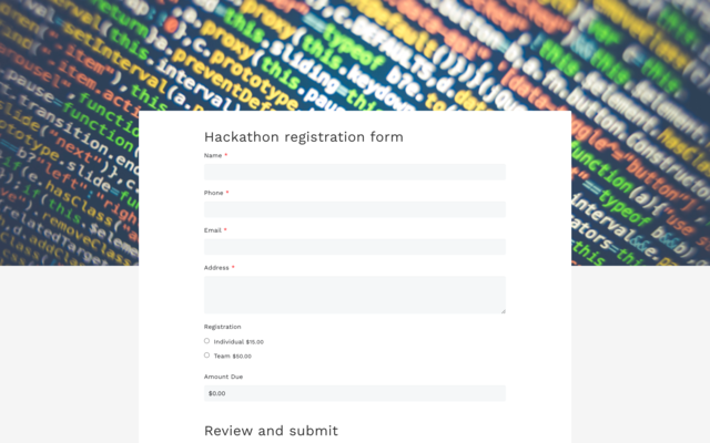 Google payment form